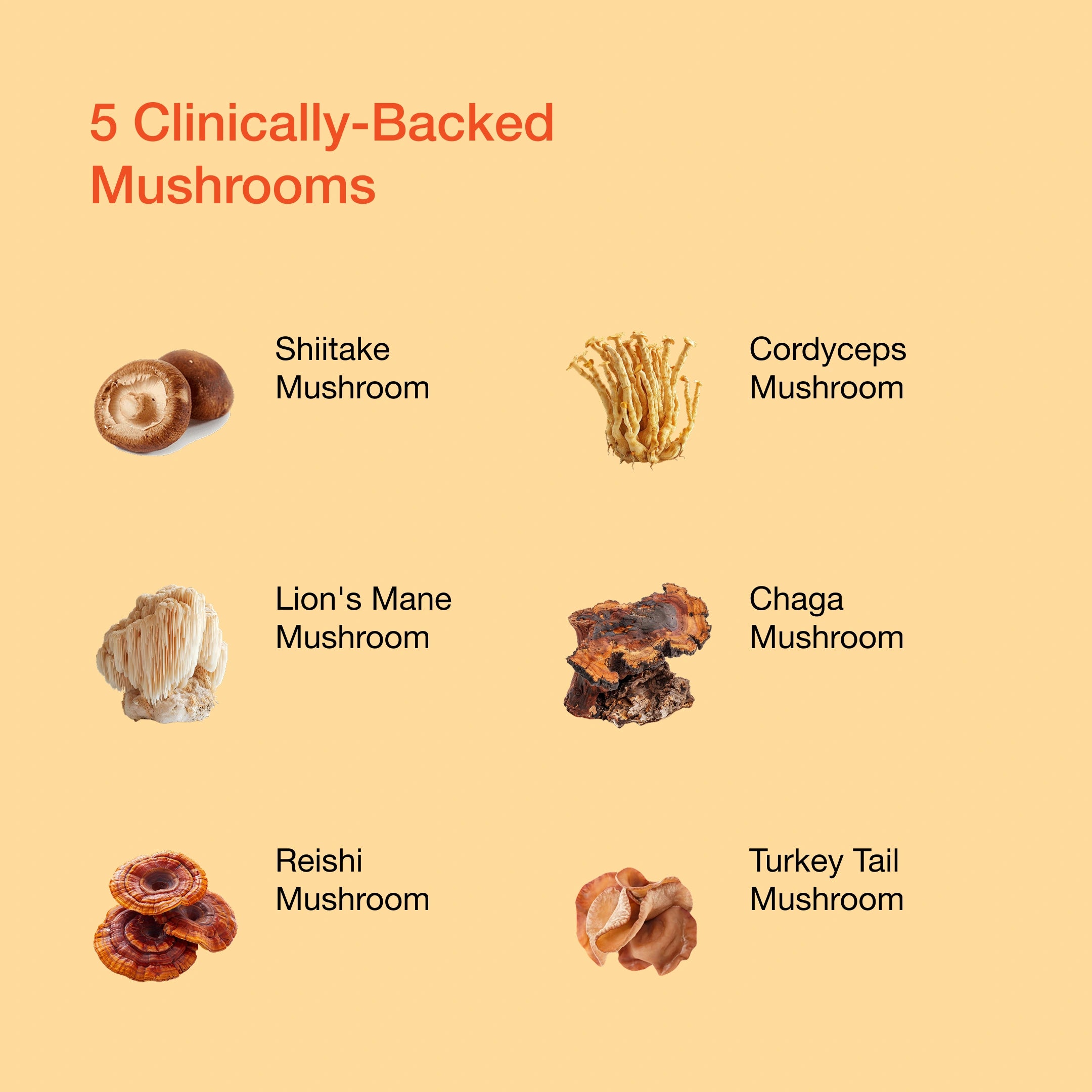 Femme Mushroom x10